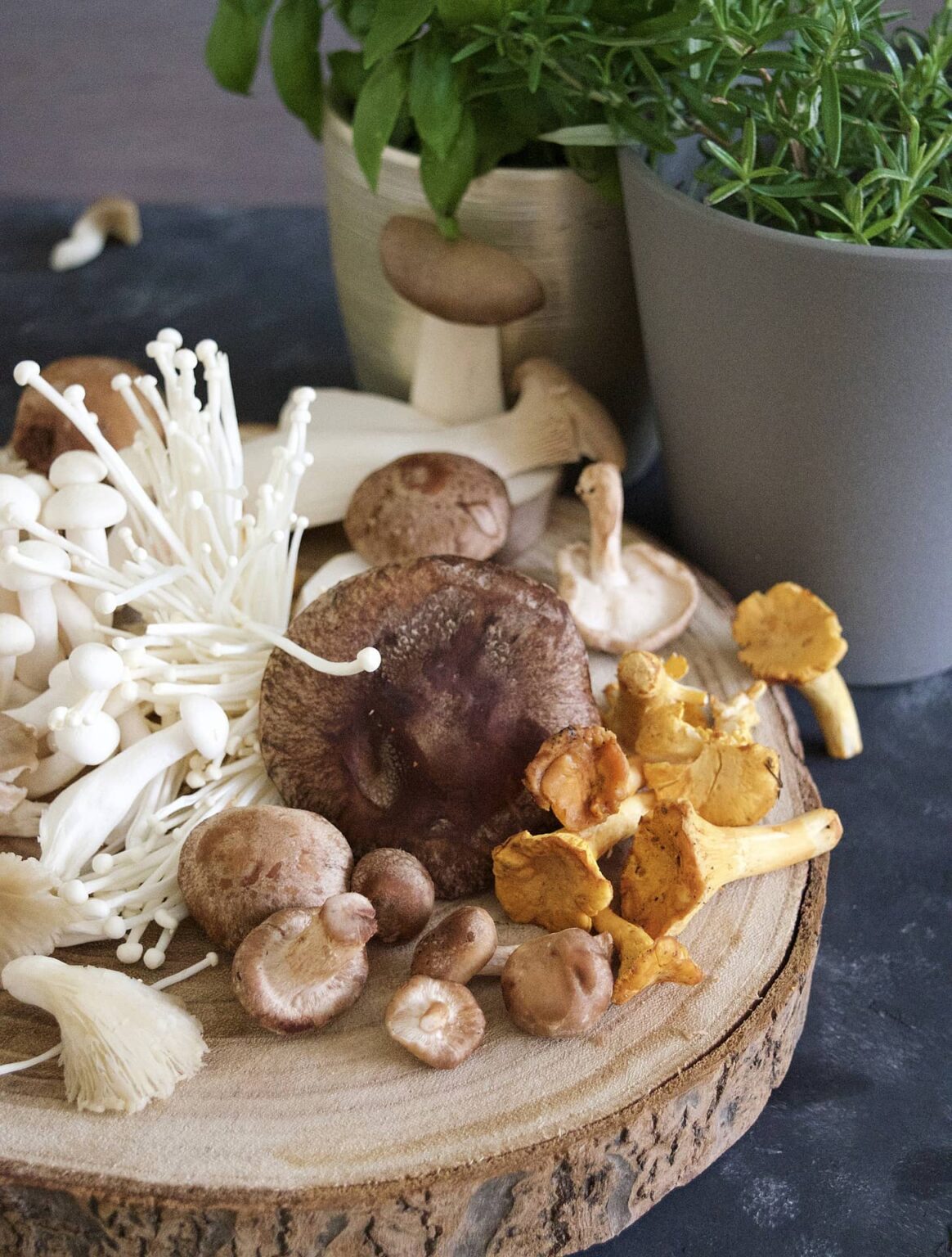 Campaign Chinese Medicinal Mushrooms and Their Main Benefits