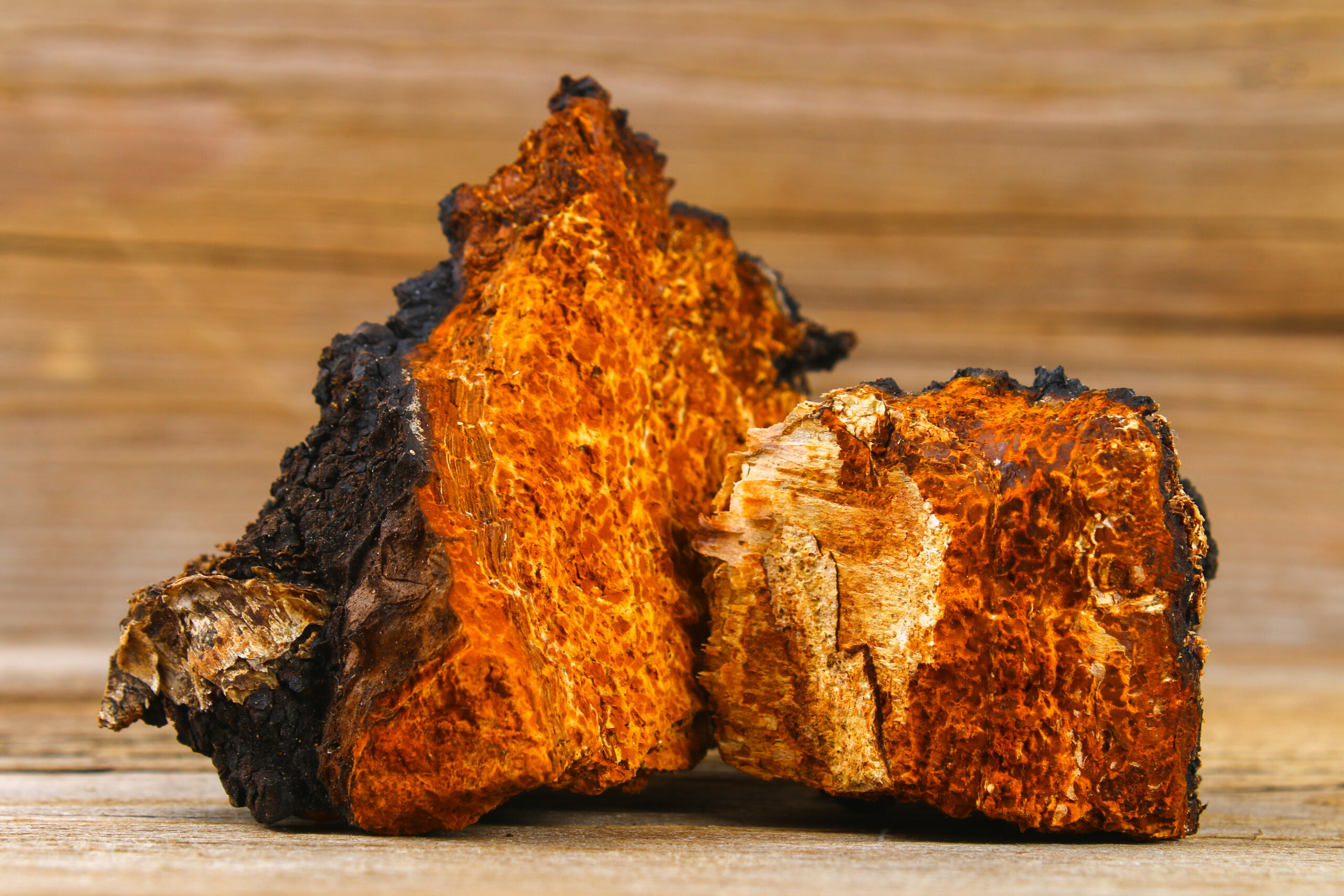 The potential of Chaga