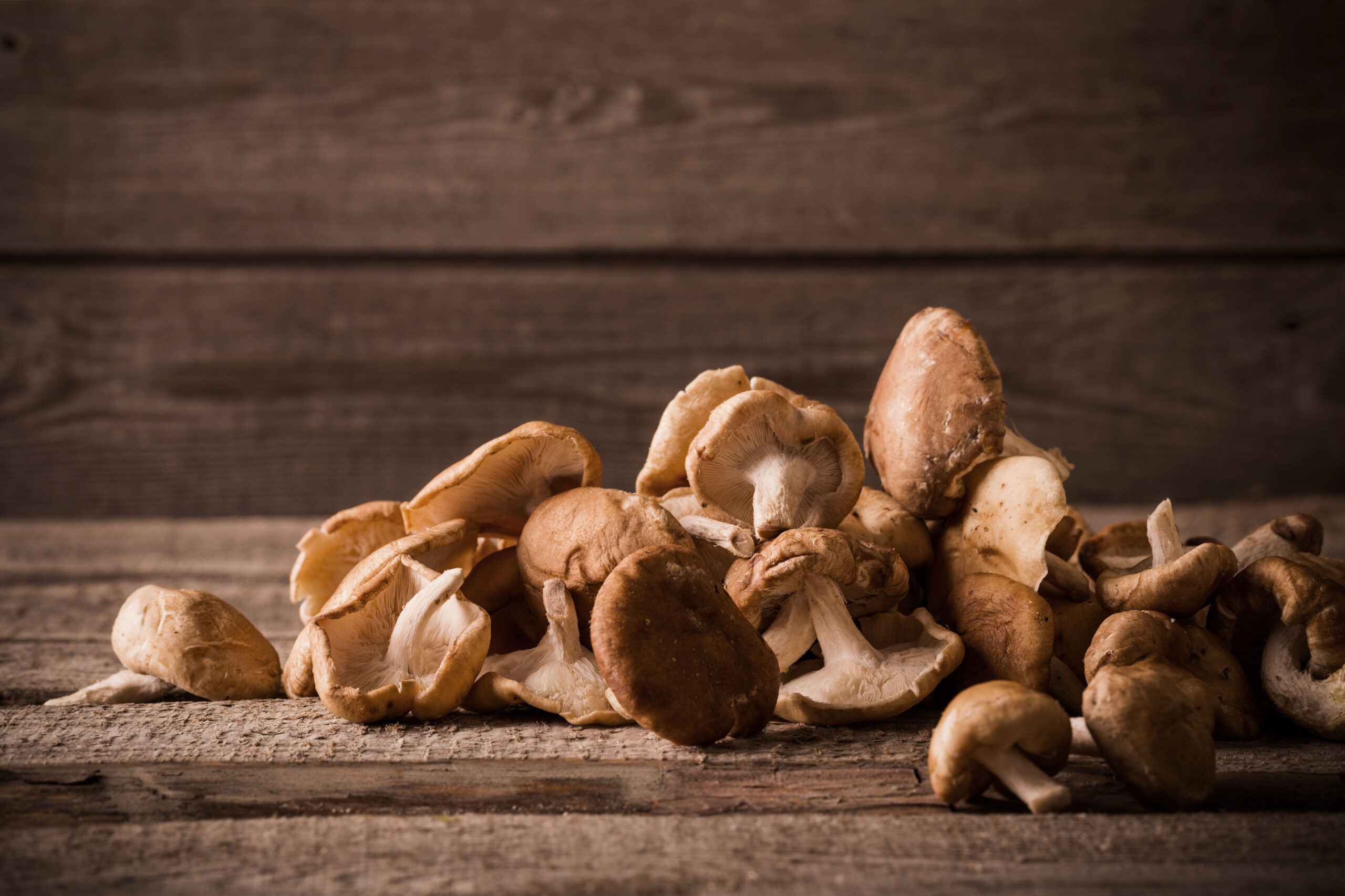 Is Shiitake Mushroom good for you and your body?